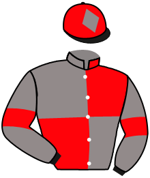 Casaque de FIVE DAYS