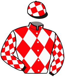 Casaque de IRON BIRD DEVOL