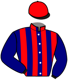 Casaque de IDEALE D'ARCEY