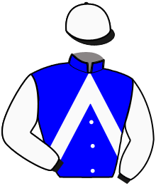 Casaque de MAJORELLE