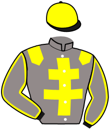 Casaque de NEW DEPART