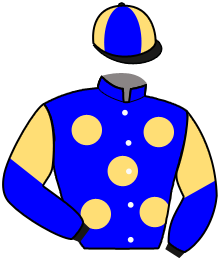 Casaque de COMPOSITION