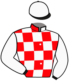 Casaque de MAFIA RINGEAT