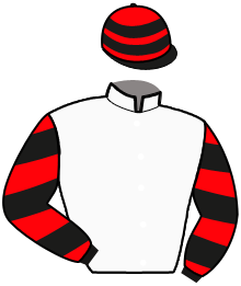 Casaque de MESSIRE DU GERS