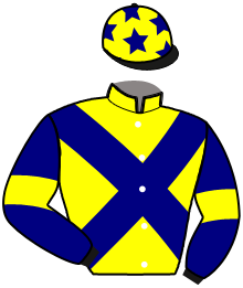 Casaque de L'AMIRAL D'EURVAD