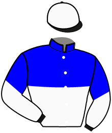 Casaque de NIAGARA PLANCHETTE