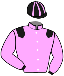 Casaque de JERSEY BLEUE