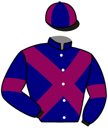 Casaque de IDEALGADOR