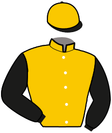 Casaque de SAN DONATO