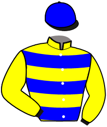 Casaque de MADNESS SAM