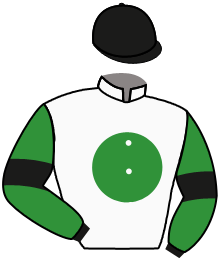 Casaque de GEORGES VILLE