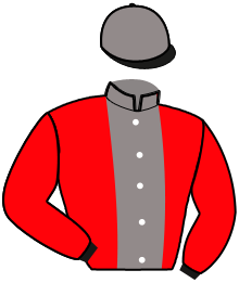 Casaque de MOGALDO DU PARC