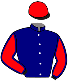 Casaque de MADE IN DAIRPET