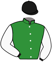 Casaque de LIEUTENANT COLONEL