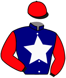 Casaque de AL ALMARCHAL