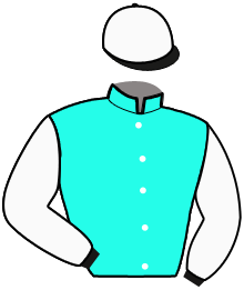 Casaque de ERGA OMNES PAR