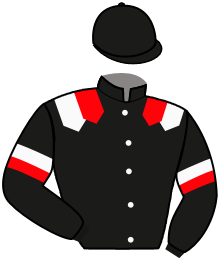 Casaque de NICE STEEL