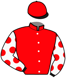 Casaque de JOYAU DE BELLANDE