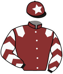 Casaque de DIAMOND ROAD