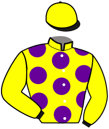 Casaque de JASPER JOHNS