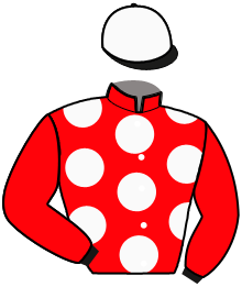 Casaque de JEAN DES GLENAN