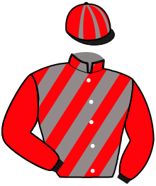 Casaque de MISTRAL D'ETE