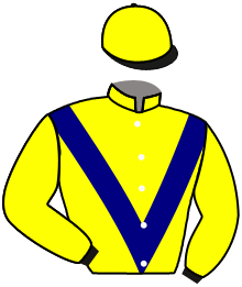 Casaque de QATAR RIVER