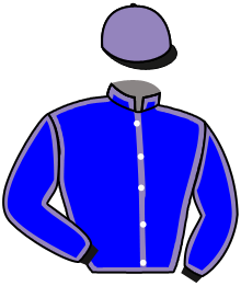 Casaque de MONT STEELE