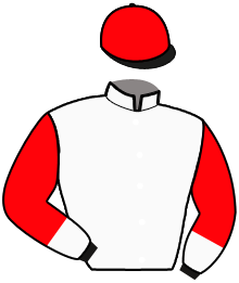 Casaque de GRAN PREMIO