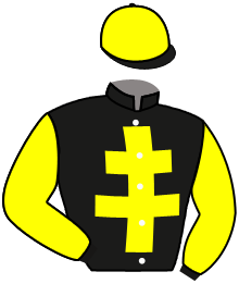 Casaque de YELLOW HAWK