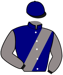 Casaque de MERVEILLE DE BOISE