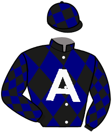 Casaque de ICEBREAKER