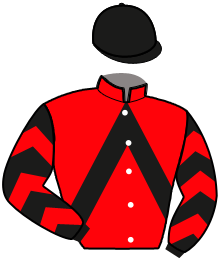 Casaque de NATURALLY STAR