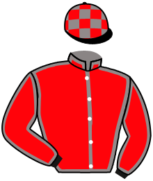 Casaque de LILY OFTHE KINGDON