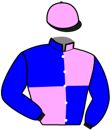 Casaque de JOS DU JAL