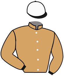 Casaque de FREERIDER