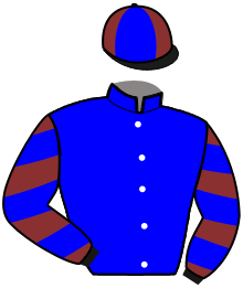 Casaque de KING PRESTIGE