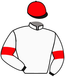 Casaque de OVER GROUND