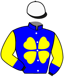 Casaque de CASH BANK BIGI