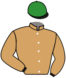 Casaque de L'AMI DE LONGHOR