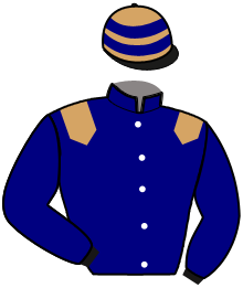 Casaque de IDEAL DE CHAHAINS