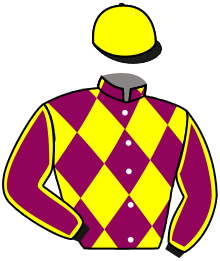 Casaque de FLYING TRIX