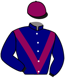 Casaque de ARDEN MIST