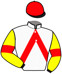 Casaque de MEC D'ERCOURT