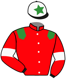 Casaque de WINDSURFER