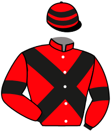 Casaque de SUNDAY SPEED