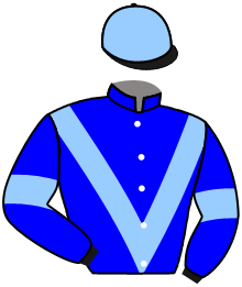 Casaque de GRAN HABANO