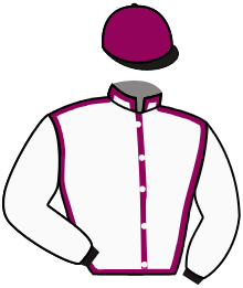 Casaque de TEXAS WOOD