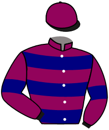 Casaque de WONDER MELODY