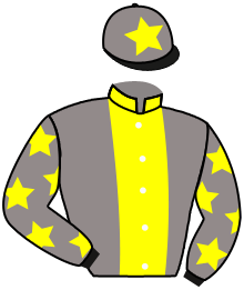 Casaque de ROSE OF THE CITY